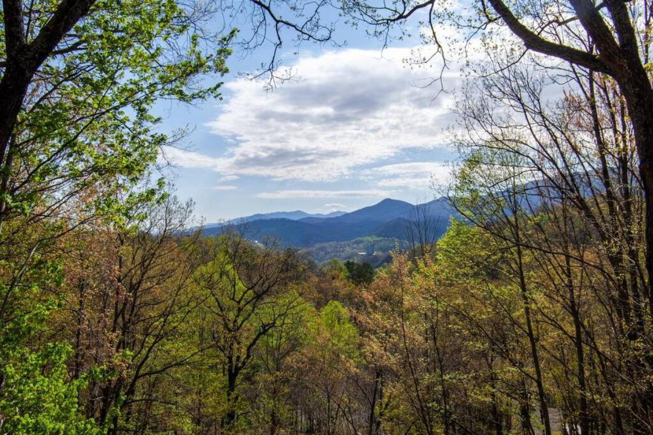 Bear View Chalet With Hot Tub And Near Ober Gatlinburg Exterior foto
